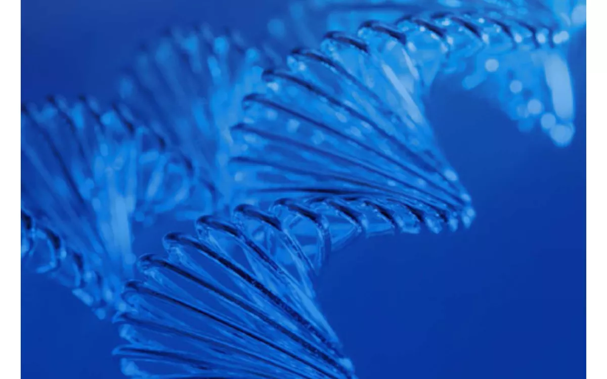 Memoria de actividades de I+D+I 2006