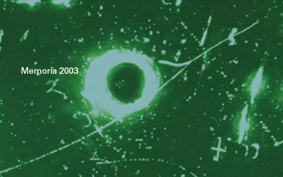 Memoria de Actividades FECYT 2003