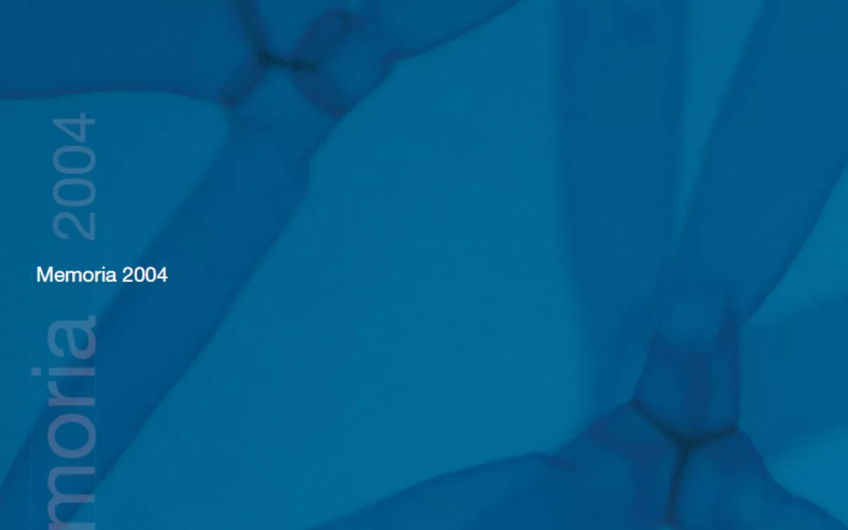 Memoria de Actividades FECYT 2004