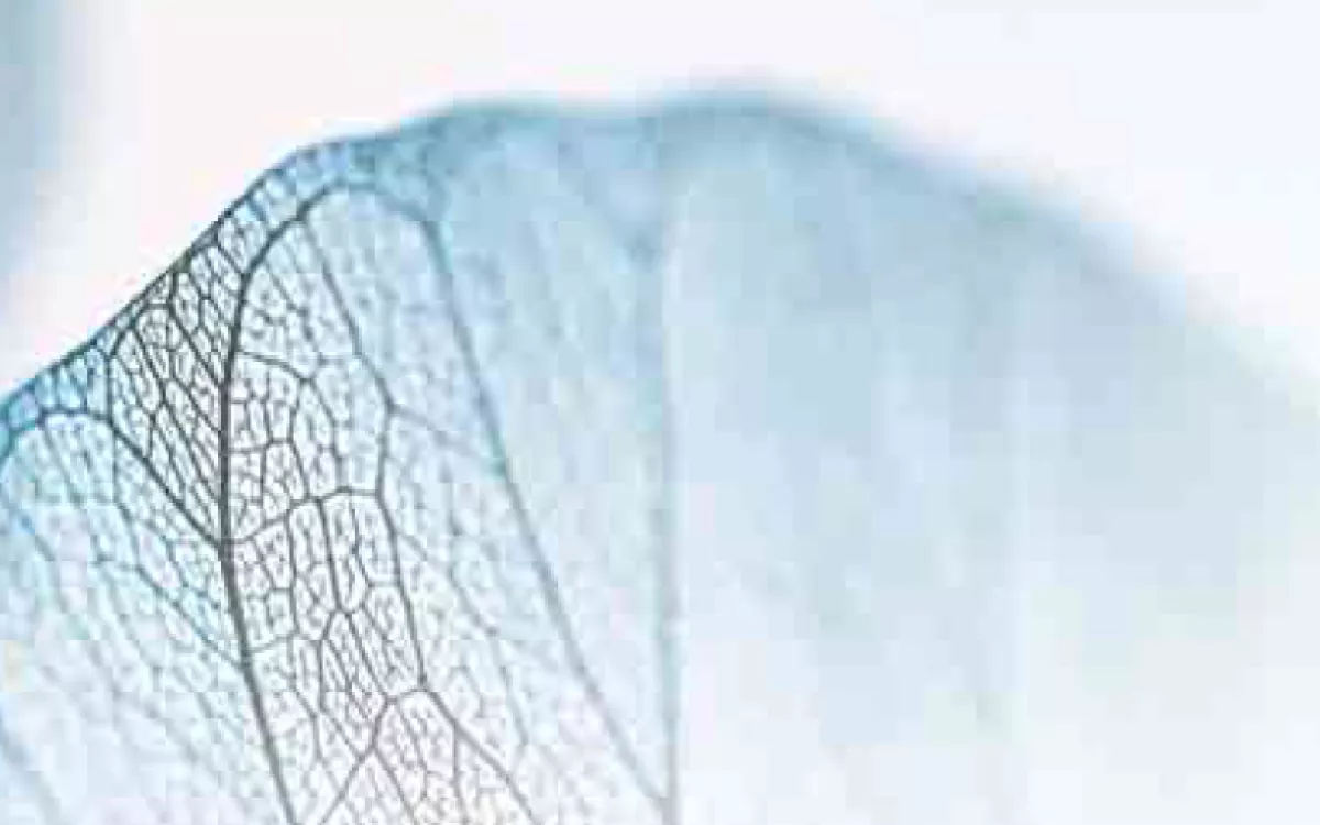 Memoria de Actividades FECYT 2006