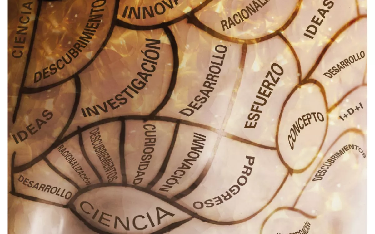 Memoria de Actividades FECYT 2007