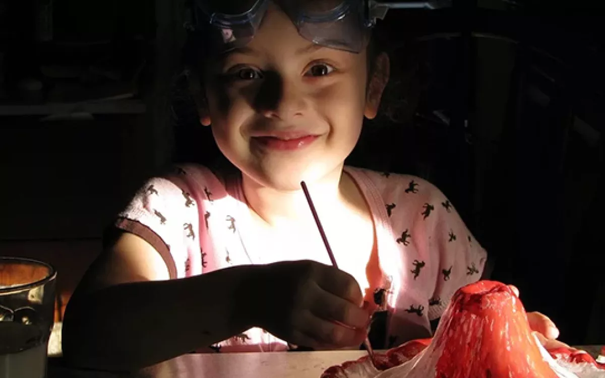 FECYT crea la campaña #CienciaEnCasa en sus redes sociales