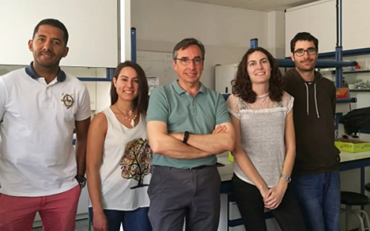 Un proyecto de Precipita busca un tratamiento eficaz para la fenilcetonuria