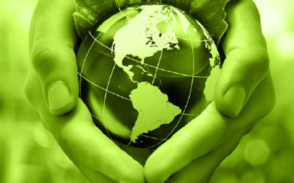 España ocupa la 9ª posición mundial en publicaciones en el área de Bioeconomía