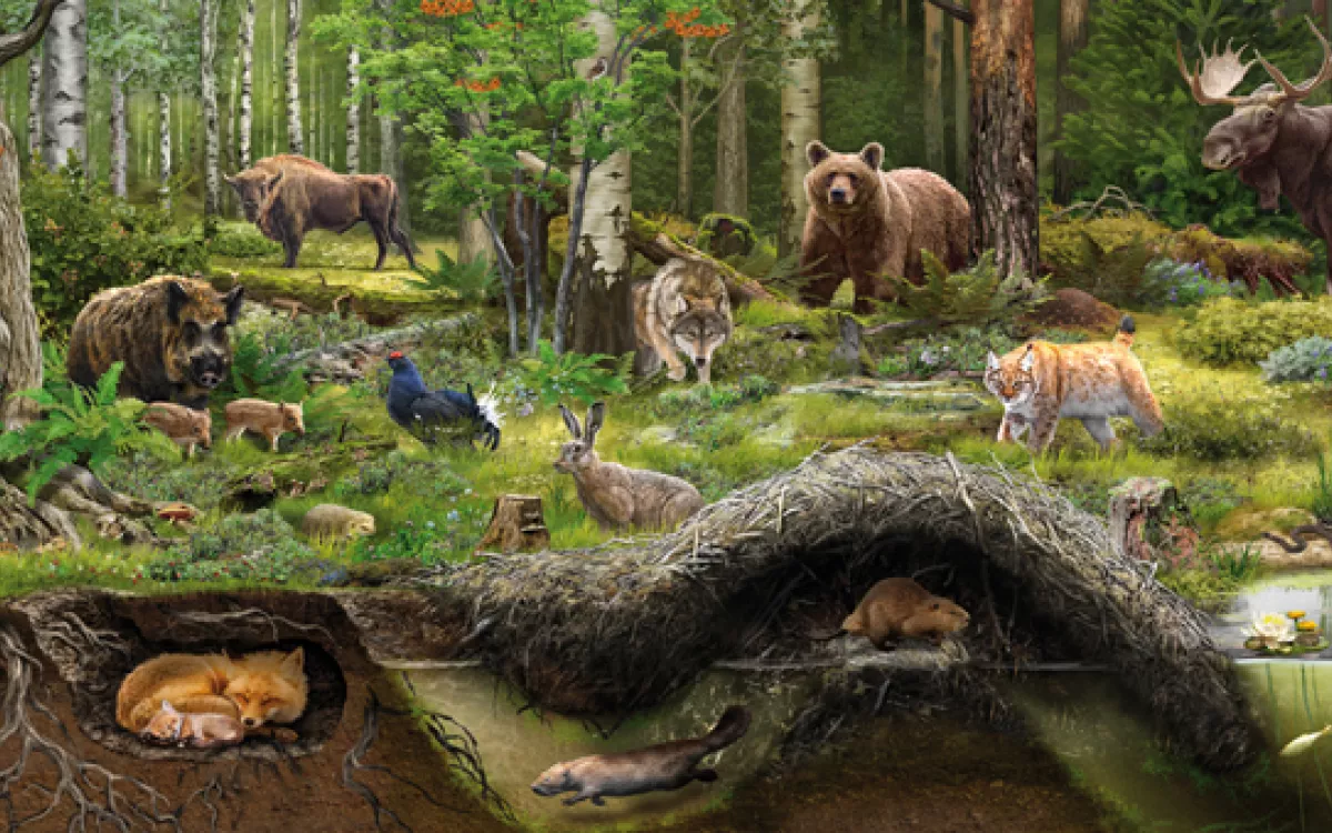 Illustraciencia presenta a las ganadoras de su sexta edición