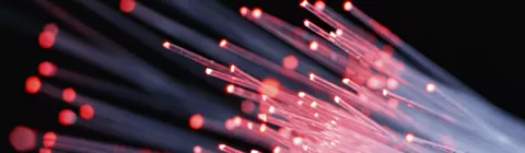 Energía, Veterinaria, Ingeniería Química y Gestión Empresarial, las áreas científicas españolas de excelencia