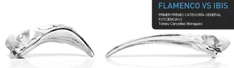 12ª edición del certamen de fotografía FOTCIENCIA