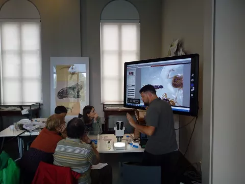 Nace la plataforma europea de ciencia ciudadana EU-Citizen.Science