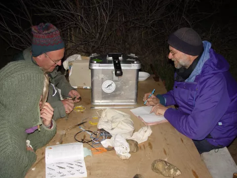 Nace la plataforma europea de ciencia ciudadana EU-Citizen.Science