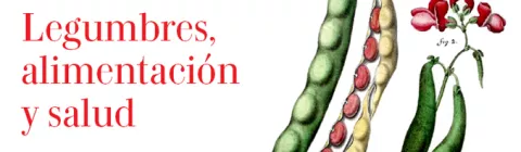 Ciclo de conferencias: 'Legumbres, alimentación y salud'