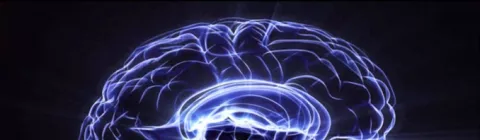 Convocatoria de becas predoctorales en Neurociencia 2016