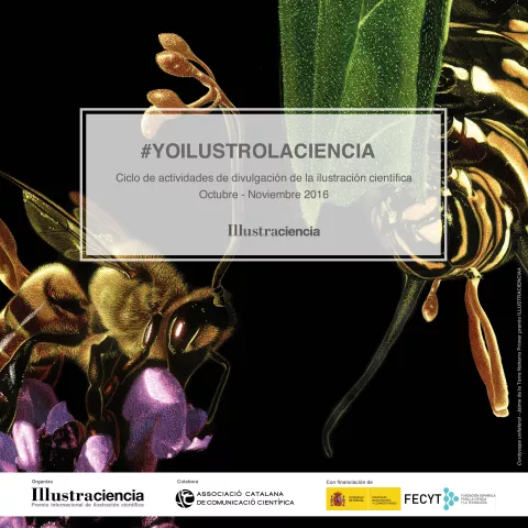 Ciclo de actividades sobre ilustración científica