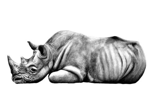 Illustraciencia presenta a las ganadoras de su sexta edición