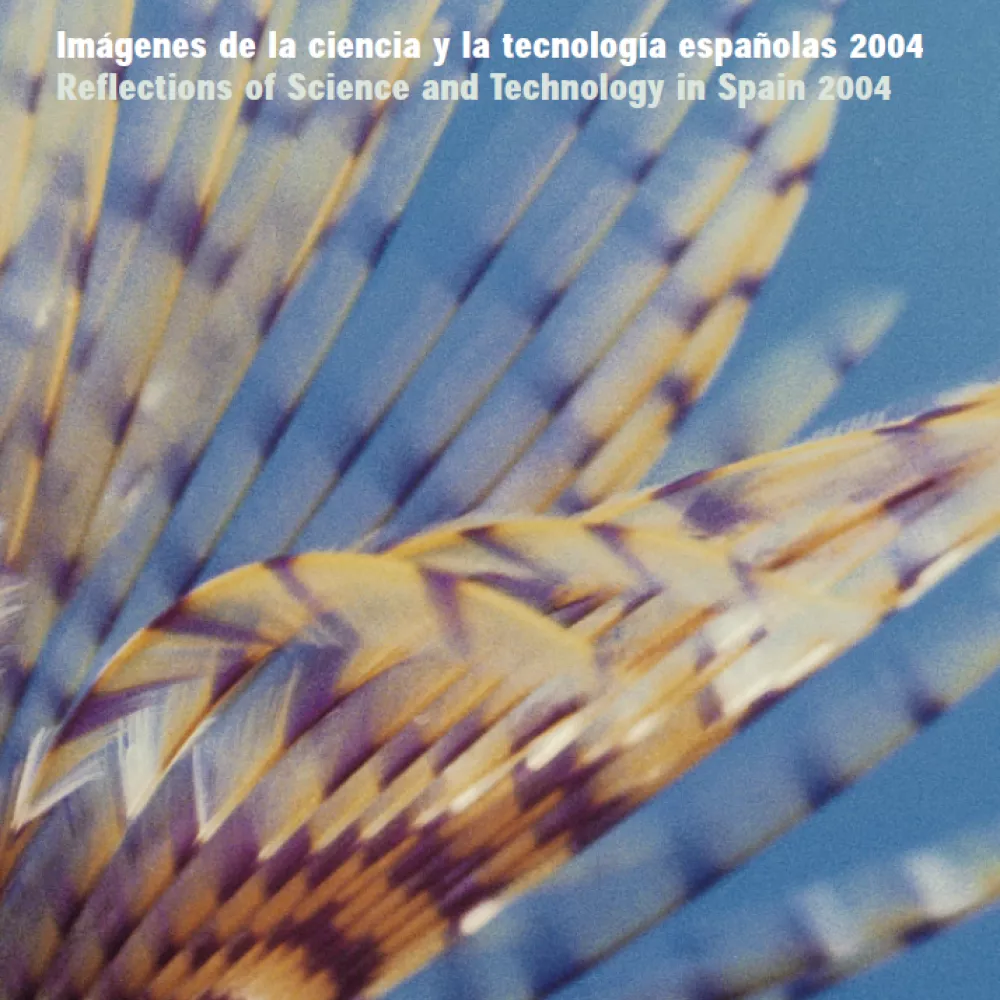 Imágenes de la ciencia y la tecnología españolas 2004