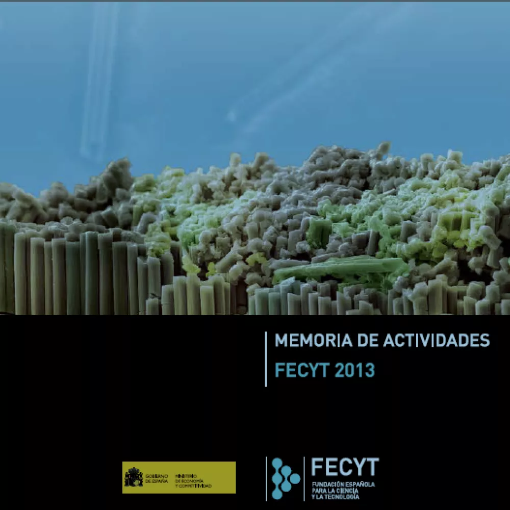 Memoria de Actividades FECYT 2013