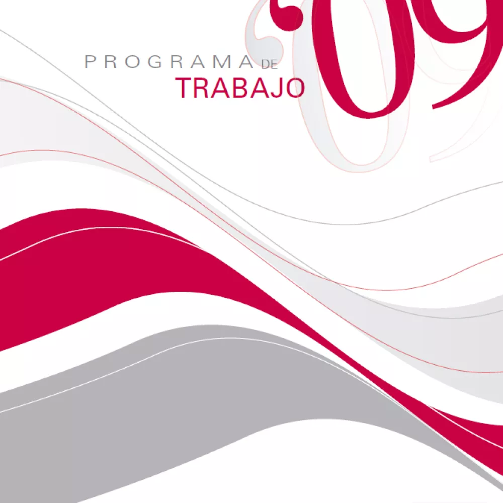 Programa de Trabajo 2009