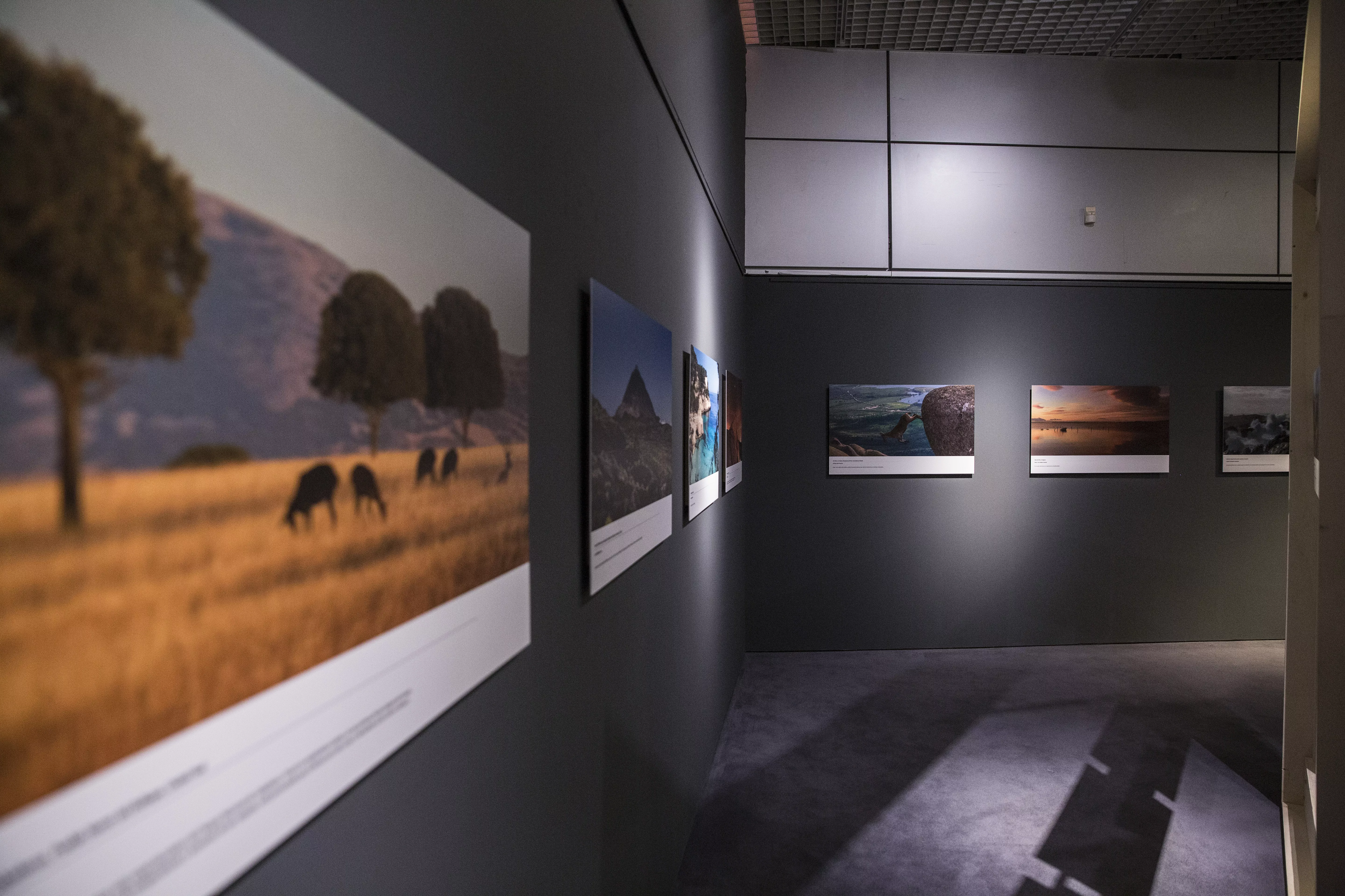 FECYT y RTVE inauguran la exposición de fotografía ‘Sin huella en el tiempo’