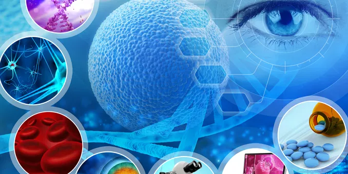 FECYT acerca la ciencia a casa