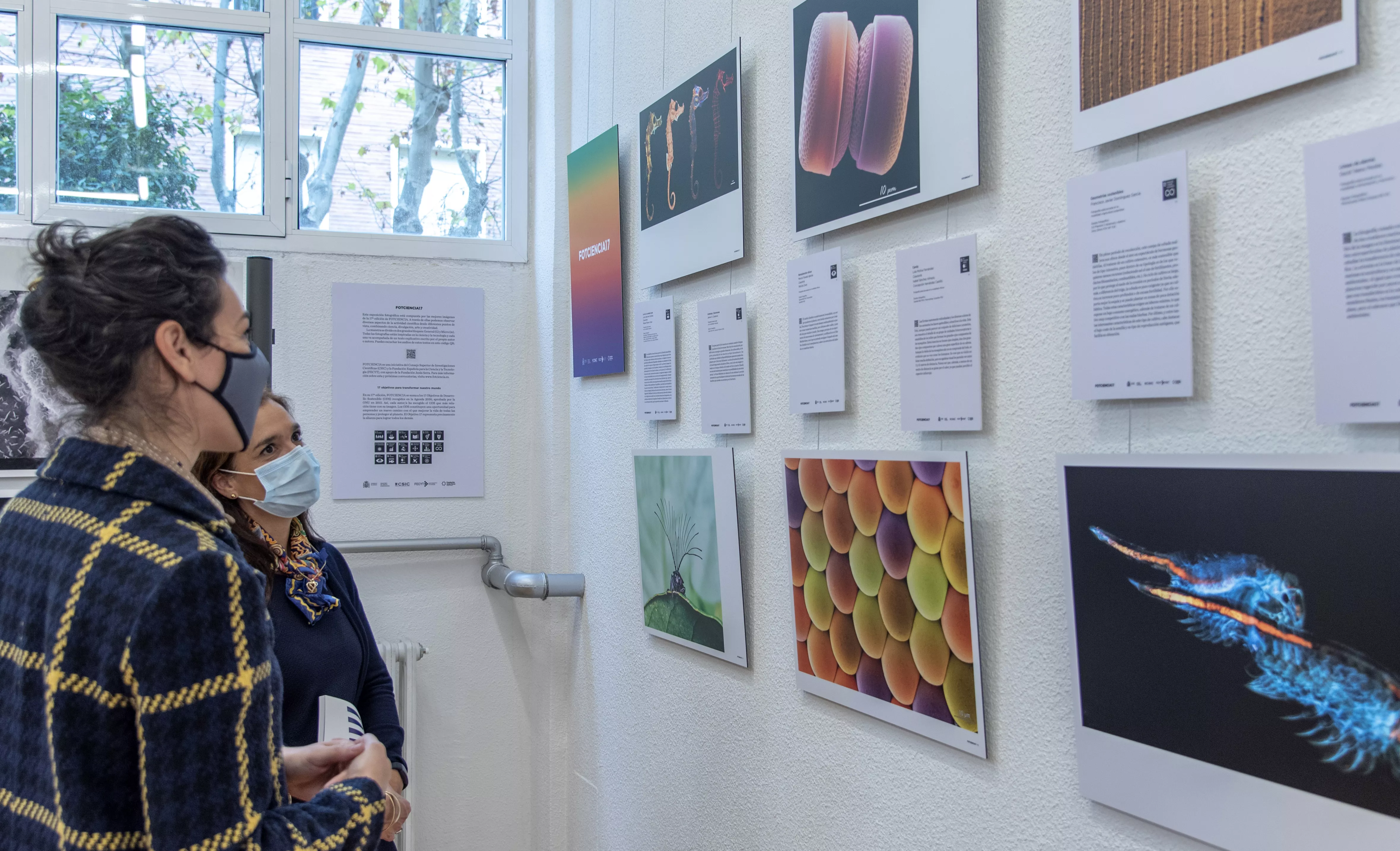 La exposición FOTCIENCIA17 se abre al público en Madrid y Pamplona