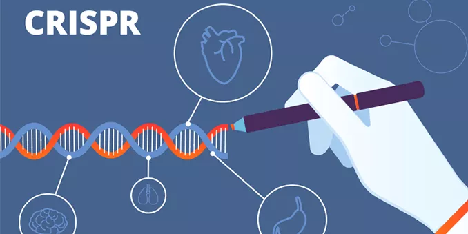 Edición genética con CRISPR y estudios de serovigilancia, nuevos informes del Grupo ISCIII de Análisis sobre Coronavirus