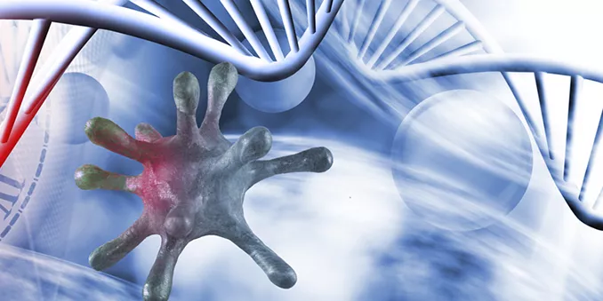 Publicados dos nuevos informes del Grupo de Análisis Científico sobre Coronavirus