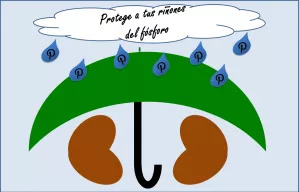 Protege a tus riñones del fósforo